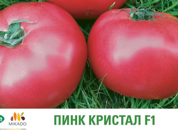 Индетерминантный розовый томат Пинк Кристал F1 от компании «Вильморин»